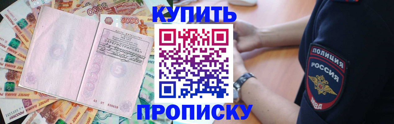 временная регистрация поиск в Долгопрудном